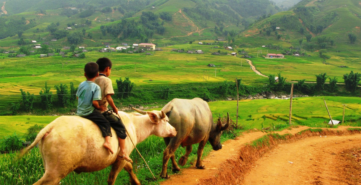 Sapa Cycling & Trekking Tour